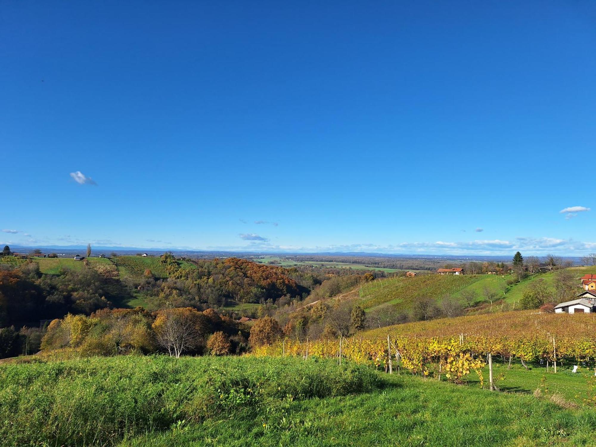 Villa Kuca Za Odmor Kodba Strigova Exterior foto